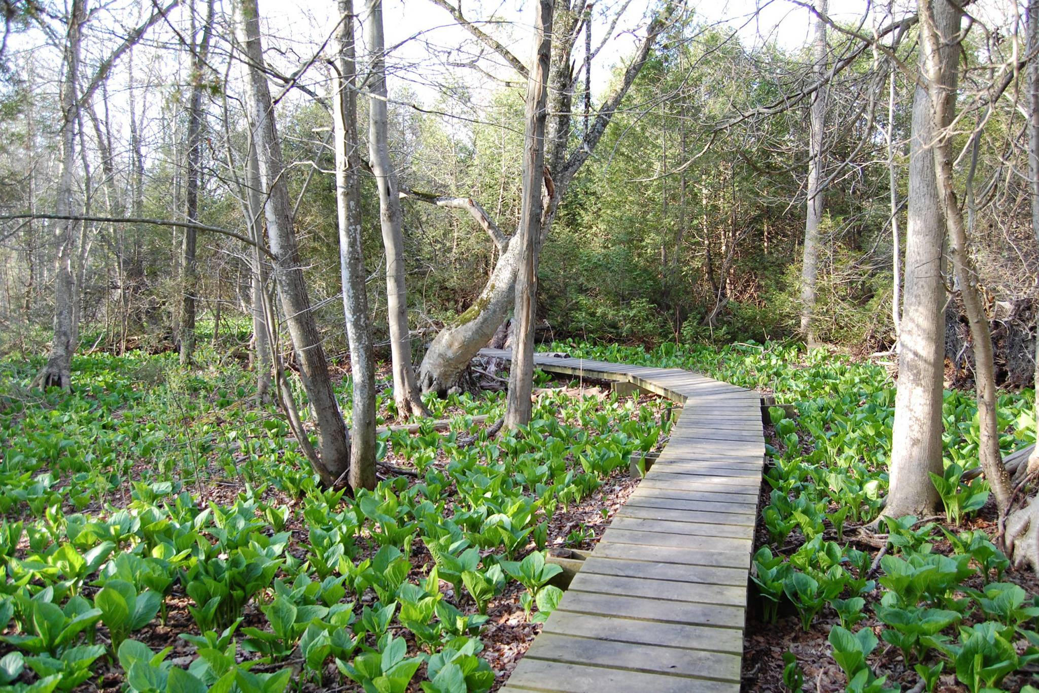 coldstream conservation area ontario